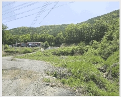  2025Ÿ��51181 ��� û�ֽ� ��籸 ������ 195      ����(��1)���