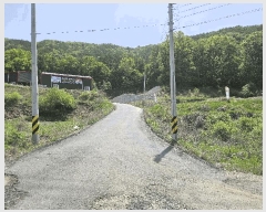  2025Ÿ��51181 ��� û�ֽ� ��籸 ������ 195      ����(��1)���