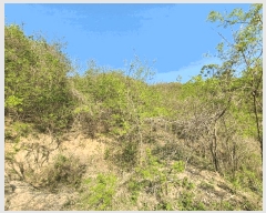  2025Ÿ51191  ûֽ 籸 ϸ ۾ϸ 77-33     (Ӿ)