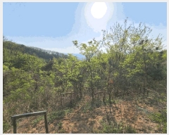  2025Ÿ51191  ûֽ 籸 ϸ ۾ϸ 77-33     (Ӿ)