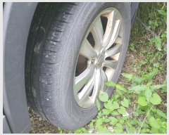  2025Ÿ51209  ûֽ  ö62 12(ȭ)      