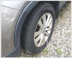  2025Ÿ51209  ûֽ  ö62 12(ȭ)      