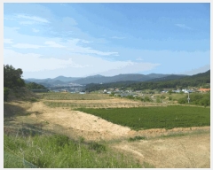  2025Ÿ��51229 ��� û�ֽ� ��籸 ������ ��� ��52-5     ����(�Ӿ�)���