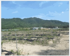  2025Ÿ��51229 ��� û�ֽ� ��籸 ������ ��� ��52-5     ����(�Ӿ�)���