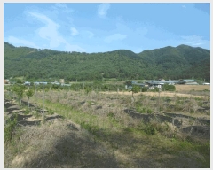  2025Ÿ��51229 ��� û�ֽ� ��籸 ������ ��� ��52-5     ����(�Ӿ�)���