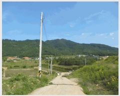  2025Ÿ��51229 ��� û�ֽ� ��籸 ������ ��� ��52-5     ����(�Ӿ�)���