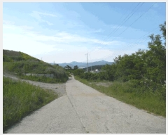  2025Ÿ��51229 ��� û�ֽ� ��籸 ������ ��� ��52-5     ����(�Ӿ�)���