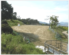  2025Ÿ��51229 ��� û�ֽ� ��籸 ������ ��� ��52-5     ����(�Ӿ�)���