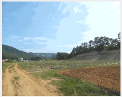  2025Ÿ��51229 ��� û�ֽ� ��籸 ������ ��� ��52-5     ����(�Ӿ�)���