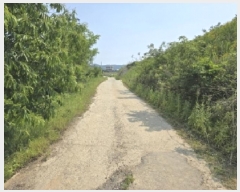  2025Ÿ��51229 ��� û�ֽ� ��籸 ������ ��� ��52-5     ����(�Ӿ�)���