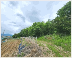  2025Ÿ��51235  �Ӿ߰��