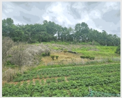  2025Ÿ��51235  �Ӿ߰��