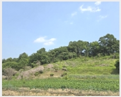  2025Ÿ��51235  �Ӿ߰��