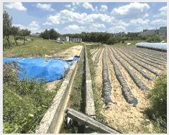  2025Ÿ��51309  �����