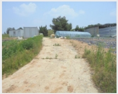  2025Ÿ��51309  �����