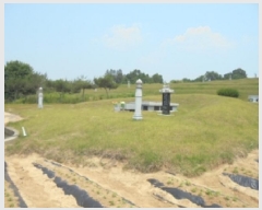  2025Ÿ��51309  �����