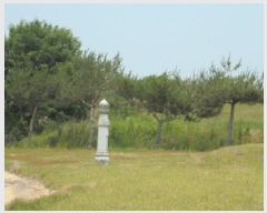  2025Ÿ��51309  �����