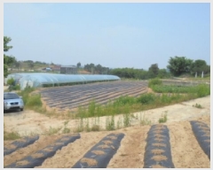  2025Ÿ��51309  �����