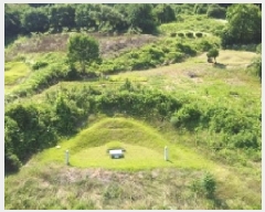  2025Ÿ��51395 ��� ���걺 �縮�� ȭ�긮 725      ����(��1)���