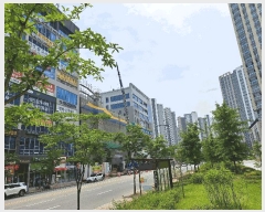  2025Ÿ51401  ûֽ   긮 798 ۿĶ＾ƮƼ 227 1 -501ȣ ,繫ǰ