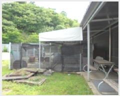  2025Ÿ��51418  �ٸ��ü����