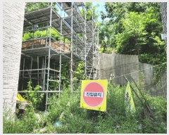  2025Ÿ��51506  ���ΰ��