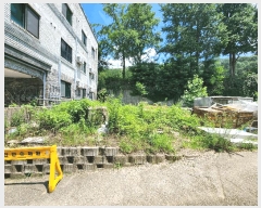  2025Ÿ��51506  ���ΰ��