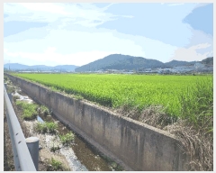  2025Ÿ��51510 ��� ��õ�� ����� ���ϸ� 506      ����(��)���