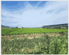  2025Ÿ��51510 ��� ��õ�� ����� ���ϸ� 506      ����(��)���