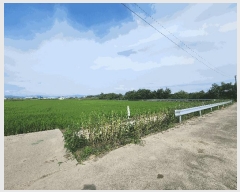  2025Ÿ��51510 ��� ��õ�� ����� ���ϸ� 506      ����(��)���