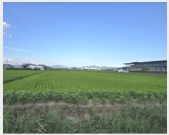  2025Ÿ��51510 ��� ��õ�� ����� ���ϸ� 506      ����(��)���