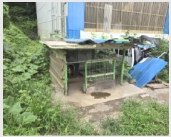  2025Ÿ��51524 ��� û�ֽ� ����� ����� �嵿�� 464-3     ������