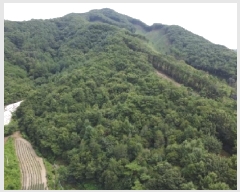  2025Ÿ��51558  �����