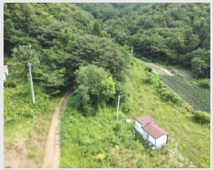  2025Ÿ��51558  �����