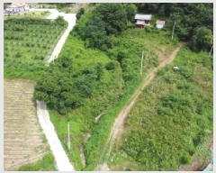  2025Ÿ��51558  �����