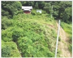  2025Ÿ��51558  �����