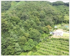  2025Ÿ��51558  �����