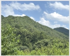  2025Ÿ��51577 ��� ���걺 ûõ�� ��Ƽ�� ��1-1      ����(�Ӿ�)���