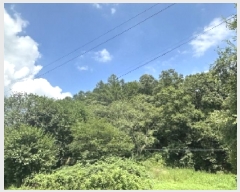  2025Ÿ��51577 ��� ���걺 ûõ�� ��Ƽ�� ��1-1      ����(�Ӿ�)���