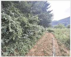  2025Ÿ��51577 ��� ���걺 ûõ�� ��Ƽ�� ��1-1      ����(�Ӿ�)���