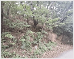  2025Ÿ��51577 ��� ���걺 ûõ�� ��Ƽ�� ��1-1      ����(�Ӿ�)���