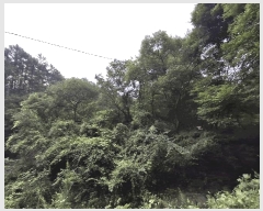  2025Ÿ��51577 ��� ���걺 ûõ�� ��Ƽ�� ��1-1      ����(�Ӿ�)���