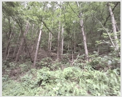  2025Ÿ��51577 ��� ���걺 ûõ�� ��Ƽ�� ��1-1      ����(�Ӿ�)���