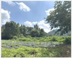  2025Ÿ��51577 ��� ���걺 ûõ�� ������ ��5-5      ����(�Ӿ�)���