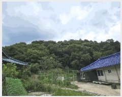  2025Ÿ��51614 ��� ���걺 û�ȸ� �� ��29-2      ����(�Ӿ�)���