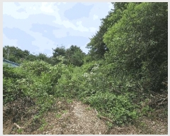  2025Ÿ��51614 ��� ���걺 û�ȸ� �� ��29-2      ����(�Ӿ�)���