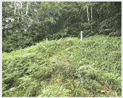  2025Ÿ��51614 ��� ���걺 û�ȸ� �� ��29-2      ����(�Ӿ�)���