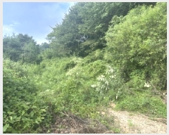  2025Ÿ��51614 ��� ���걺 û�ȸ� �� ��29-2      ����(�Ӿ�)���