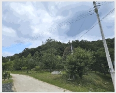  2025Ÿ��51614 ��� ���걺 û�ȸ� �� ��29-2      ����(�Ӿ�)���