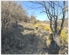  2025Ÿ��51619 ��� û�ֽ� ��籸 �̿��� ��ϸ� 300-2     ����(��1)���